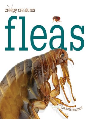 cover image of Fleas
